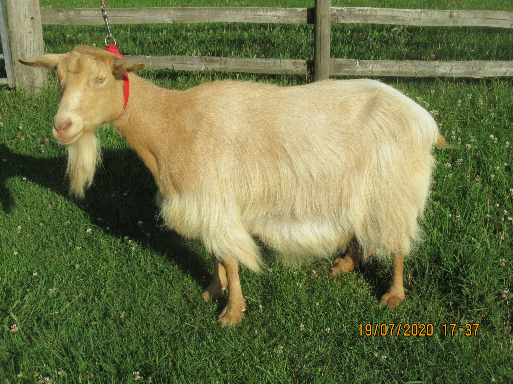 This image has an empty alt attribute; its file name is img_1622-4.jpg