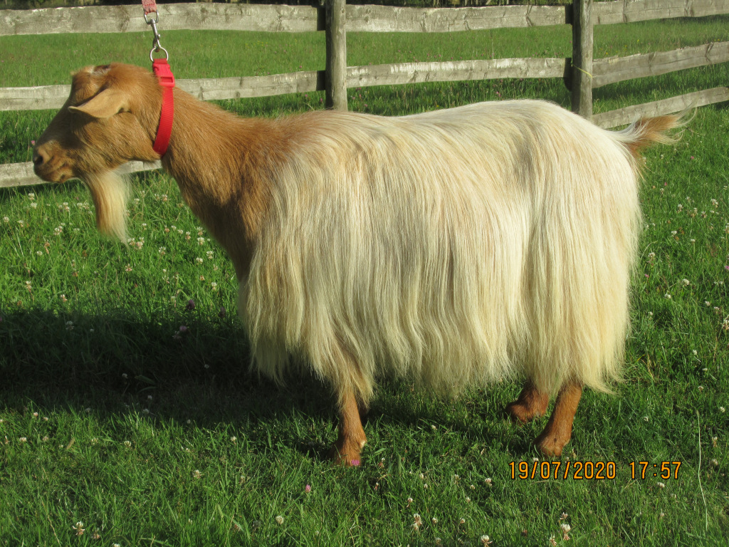 This image has an empty alt attribute; its file name is img_1627.jpg