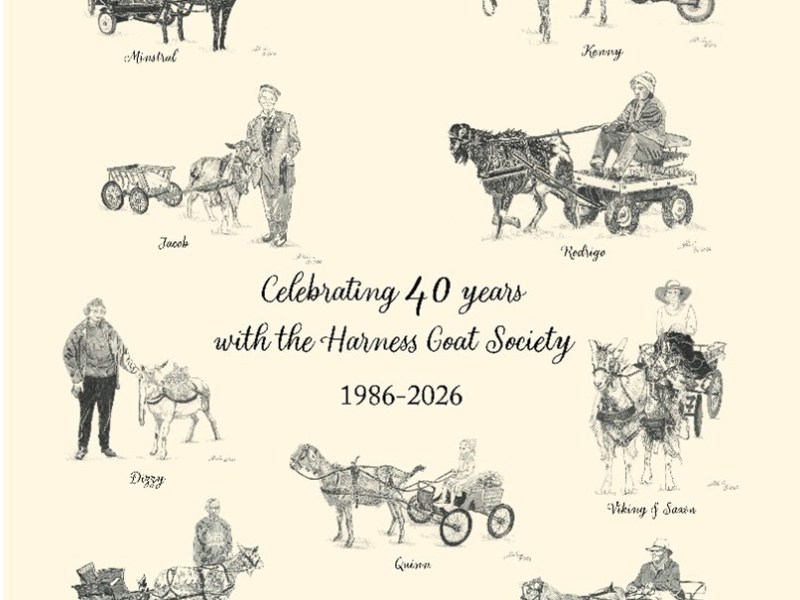 HGS 40th Anniversary Tea&nbsp;towel